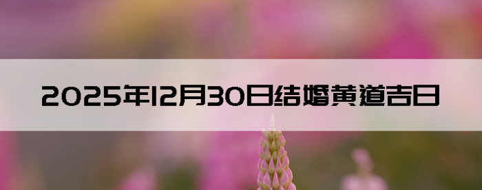 2025��12��30�ս������Ӳ�ѯ