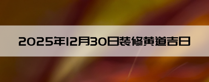 2025��12��30��װ�޼��ղ�ѯ