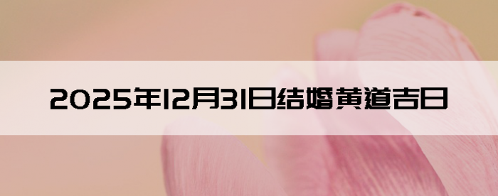 2025��12��31�������ʺϽ����