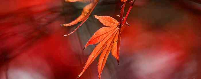 ������Ѳ������޲��԰���û�