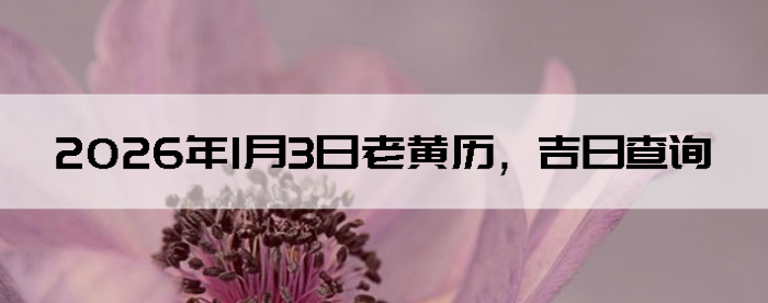 2026��1��3���ϻ��������ղ�ѯ