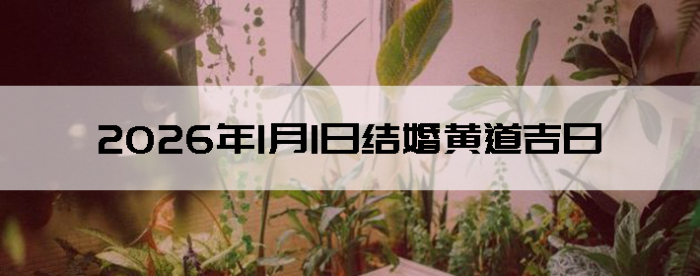 2026��1��1�ս������Ӳ�ѯ