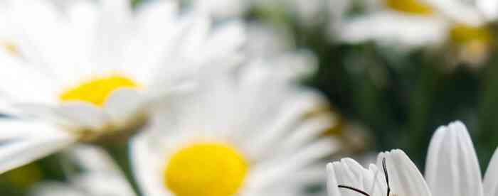 <b>��ְ����֮�ˣ����Ϊ�Լ�����</b>