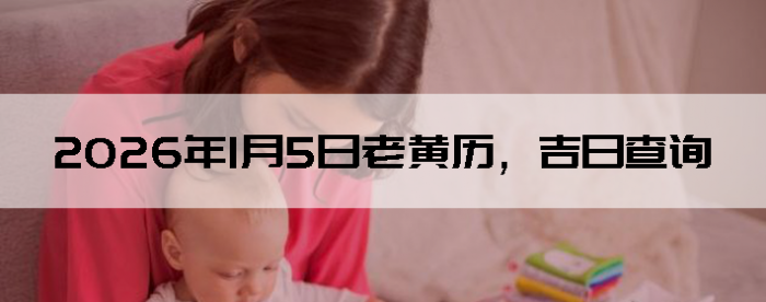 2026��1��5���ϻ��������ղ�ѯ