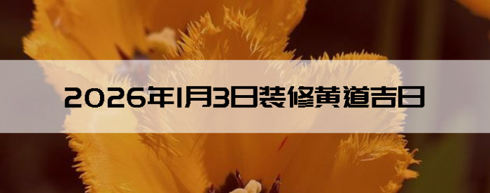 2026��1��3��װ�޺����Ӳ�ѯ