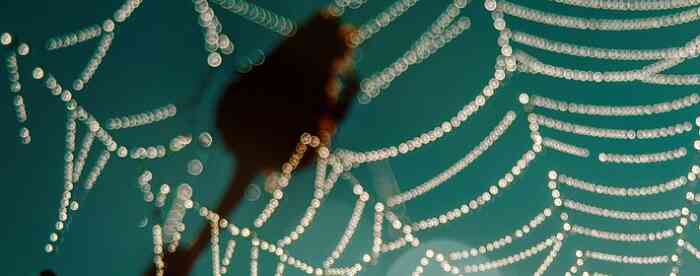 <b>���˷ǳ��õİ��֣���ʲô����</b>