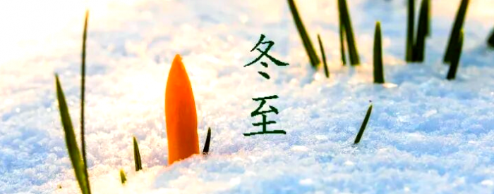 �����������������ϰ�׵����