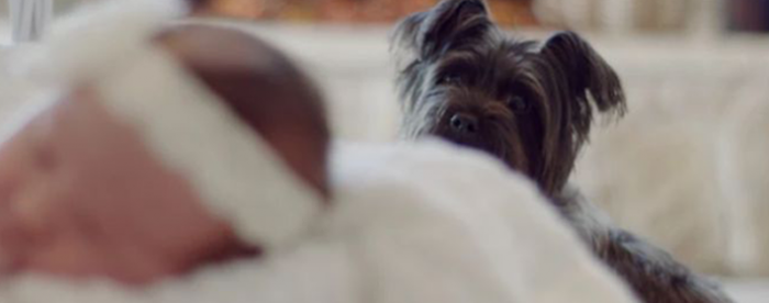 <b>�����й⣡�����б���ȡ������</b>