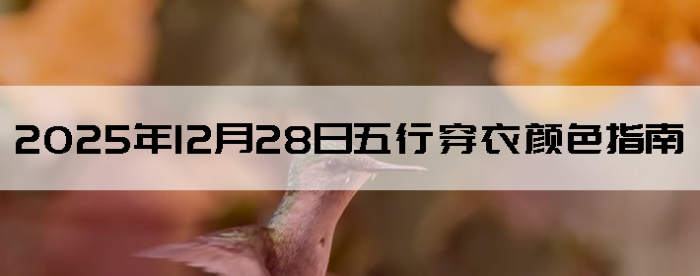 2025��12��28�����д�����ɫָ��