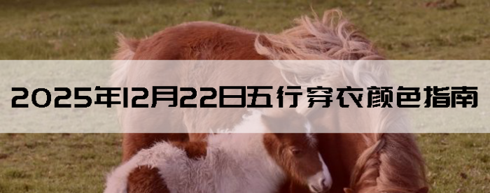 2025��12��22�����д�����ɫָ��