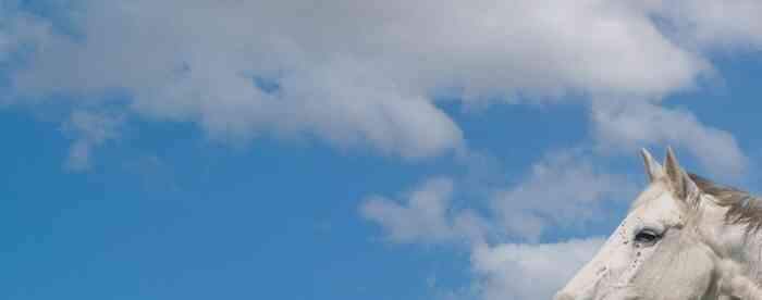 �����˹������������Ļ����Ƿ��ȶ�