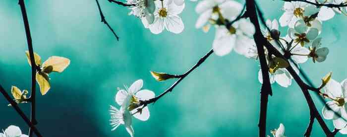 �����������������ʲôʱ������ְ��