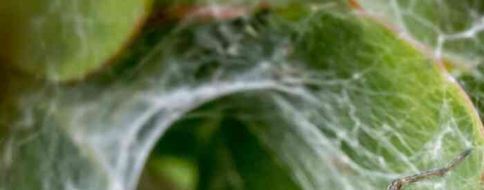 ʲô������ò��Ů�����Ʒǳ���