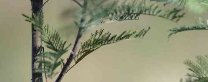 �������ˮ������Ҫ���⼸���