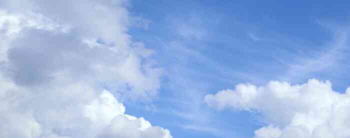 ������������������ܿ��Ϲ���Ա��