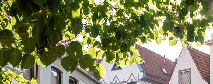 �����˿�ʲô���ƺܿ��������