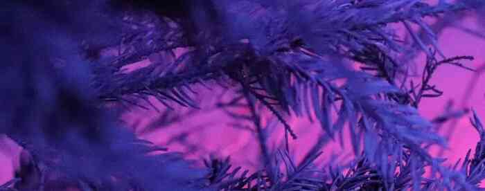 ������������ո������ƻ�ƫ��