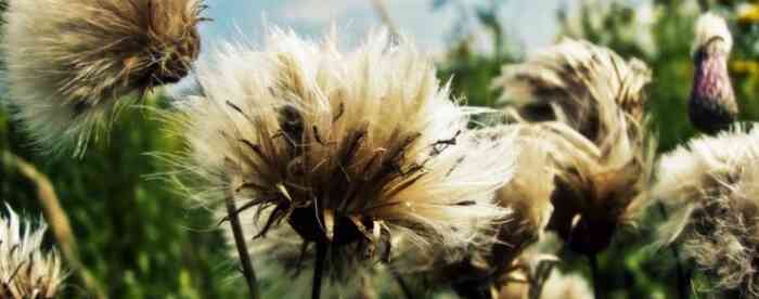 �����������������Ҫע��ʲô