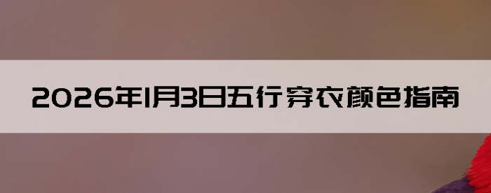 2026��1��3�����д�����ɫָ��