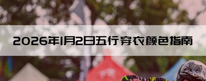 2026��1��2�����д�����ɫָ��