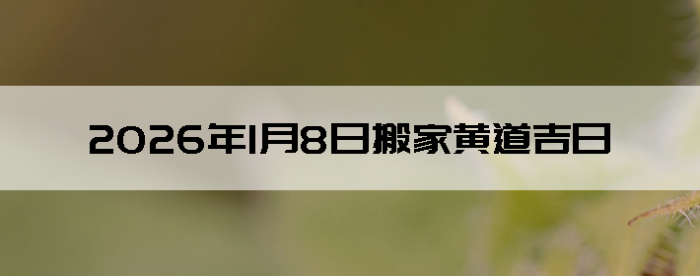 2026��1��8�հ�ҵ���������