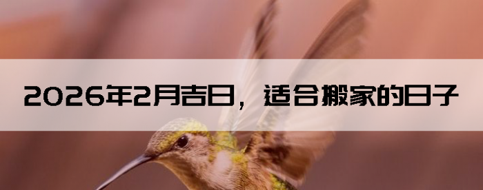 2026��2�¼��գ��ʺϰ�ҵ�����