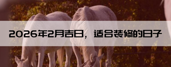 2026��2�¼��գ��ʺ�װ�޵�����