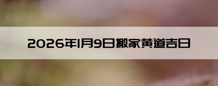 2026��1��9�������ʺϰ����