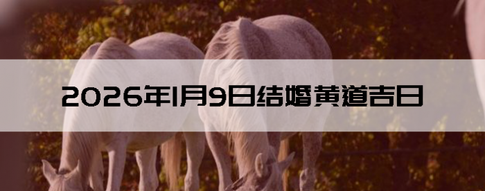 2026��1��9����������ô��