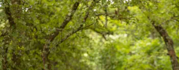 �������������ο���ҵ�˺ò���