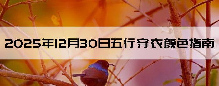 2025��12��30�����д�����ɫָ��