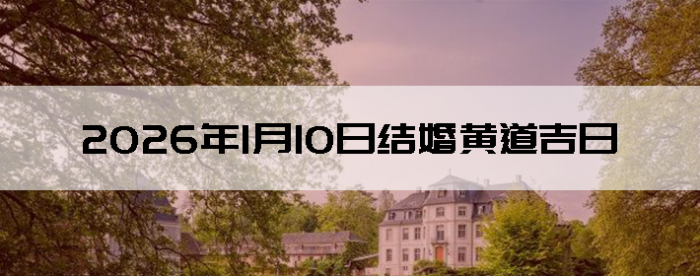 2026��1��10�������ʺϽ����