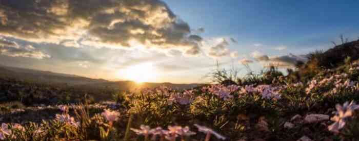 2026��ϲ����������Ф�����˶�