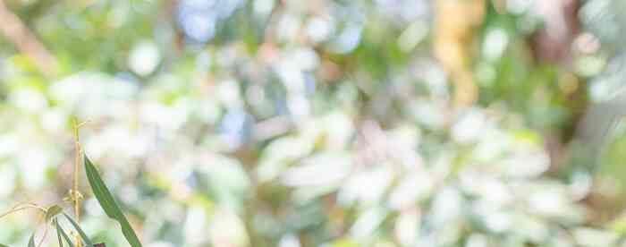 ��Ф���98�л�00Ů����������