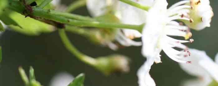 �������������֣������������ǿ��