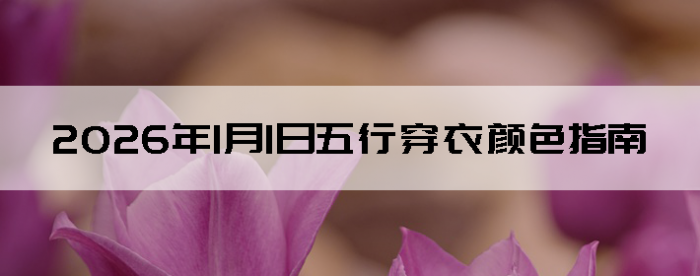 2026��1��1�����д�����ɫָ��