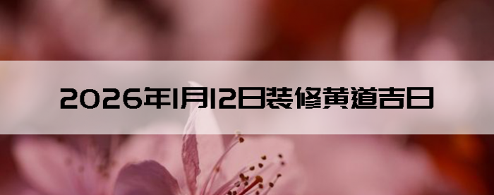 2026��1��12��װ�޺����Ӳ�ѯ