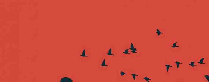 �����������������һ���Ļ�����