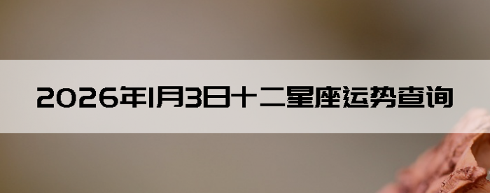 2026��1��3��ʮ���������Ʋ�ѯ