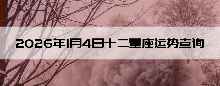 2026��1��4��ʮ���������Ʋ�ѯ