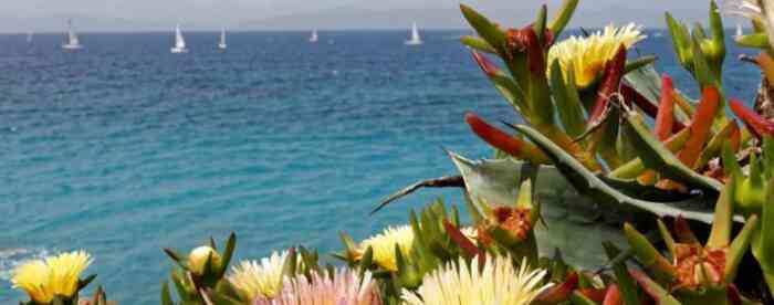 �����μ�׹�䣬��Ӧ����ʲô��