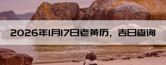 2026��1��17���ϻ��������ղ�ѯ