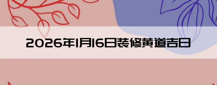 2026��1��16�������ʺ�װ����