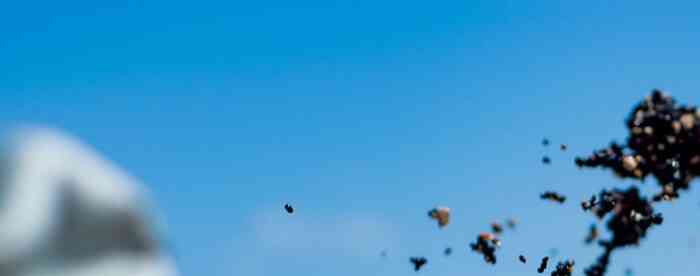 �ƹ�����������Ǯ��Ů������