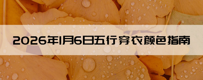 2026��1��6�����д�����ɫָ��