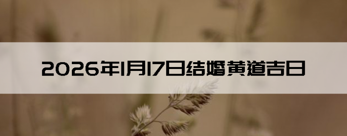 2026��1��17�ս������Ӳ�ѯ