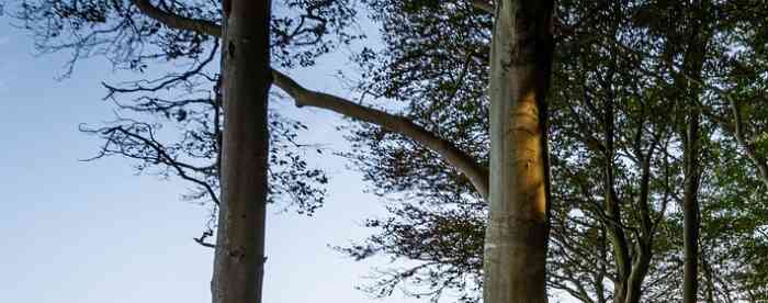 ��Ф�����˿�ʲô���ƱȽϿ���