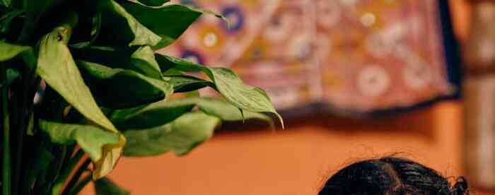 ���������������ɷ��ʲô����