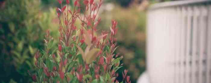 �󸻴������࣬�ú��������