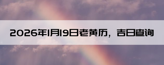 2026��1��19���ϻ��������ղ�ѯ